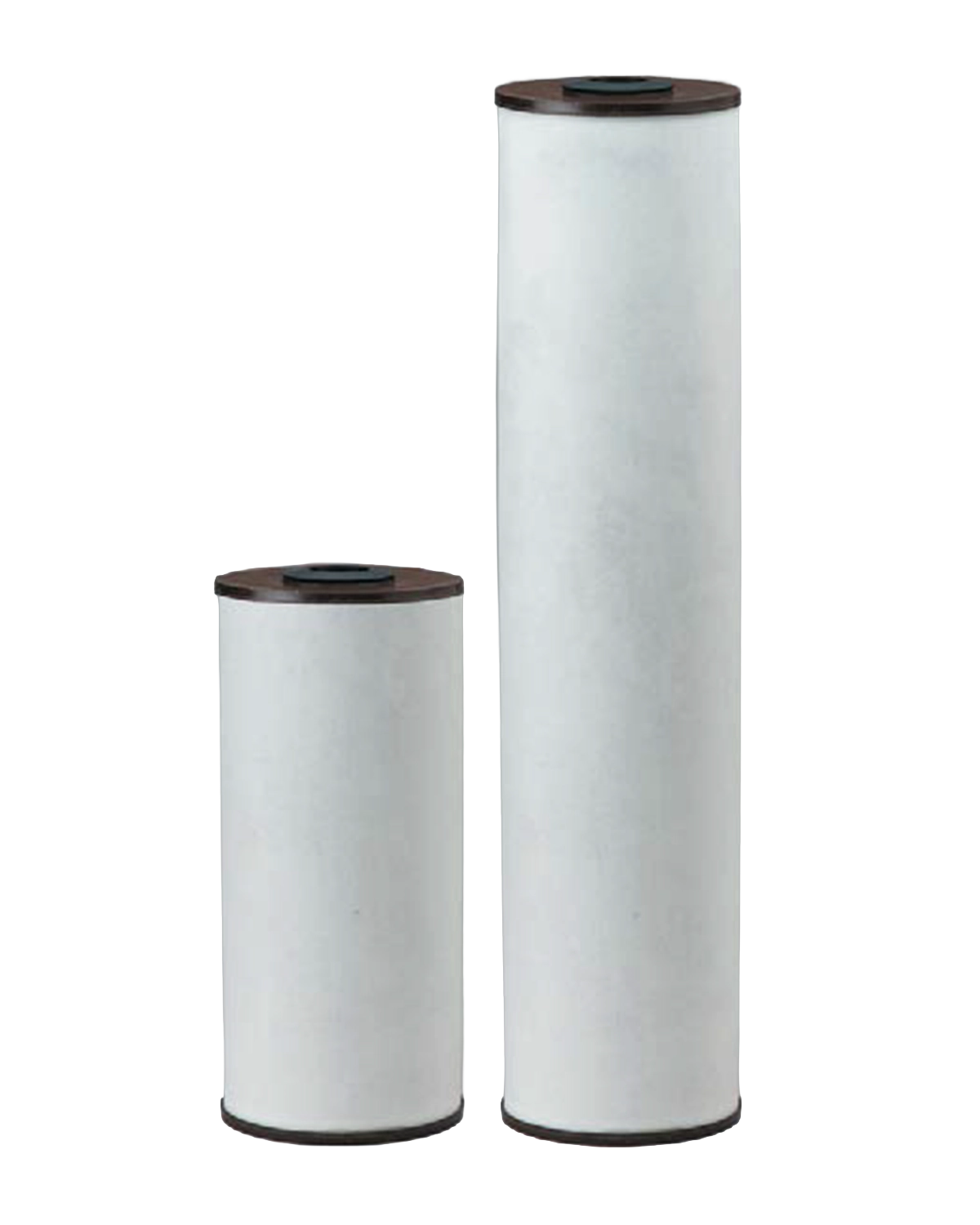 Pentek RFFE10-BB and RFFE20-BB radial flow iron reduction cartridges